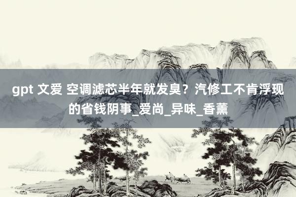 gpt 文爱 空调滤芯半年就发臭？汽修工不肯浮现的省钱阴事_爱尚_异味_香薰