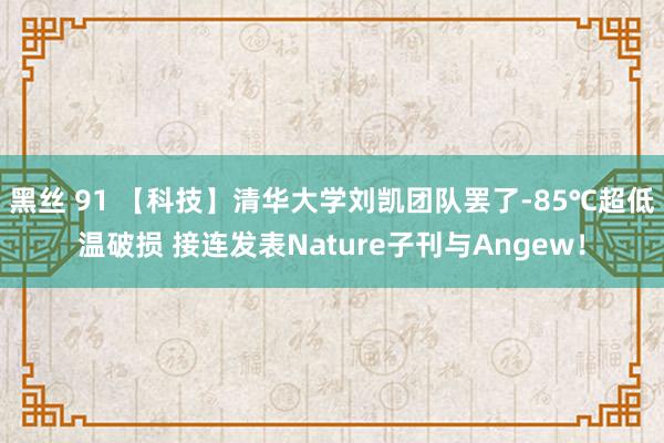 黑丝 91 【科技】清华大学刘凯团队罢了-85℃超低温破损 接连发表Nature子刊与Angew！